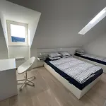 Panorama Apartment, Up To 10 People Horni Misecky