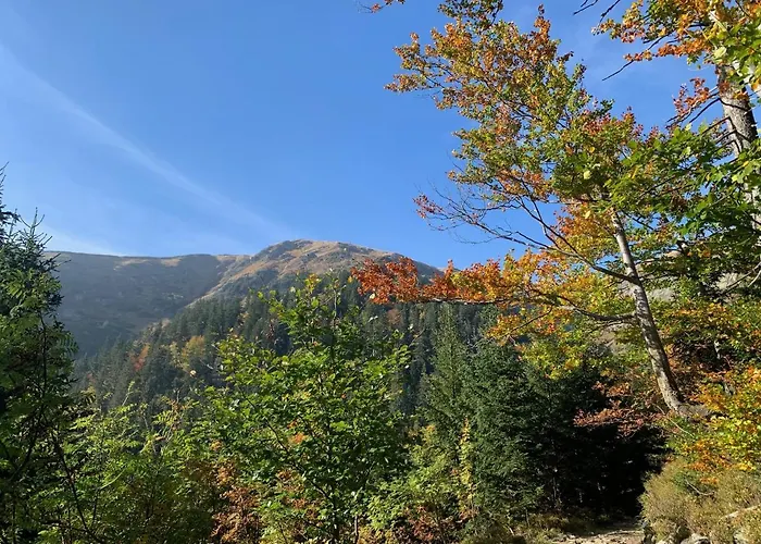 Panorama Apartment, Up To 10 People شقة *